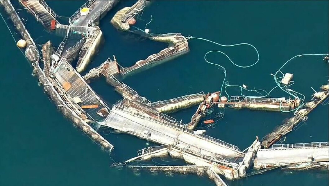 Cooke wants to switch to native trout after Washington decided to phase out Atlantic salmon farming following an escape from a collapsed pen system, pictured, at Cooke's Cypress Island site in 2017.