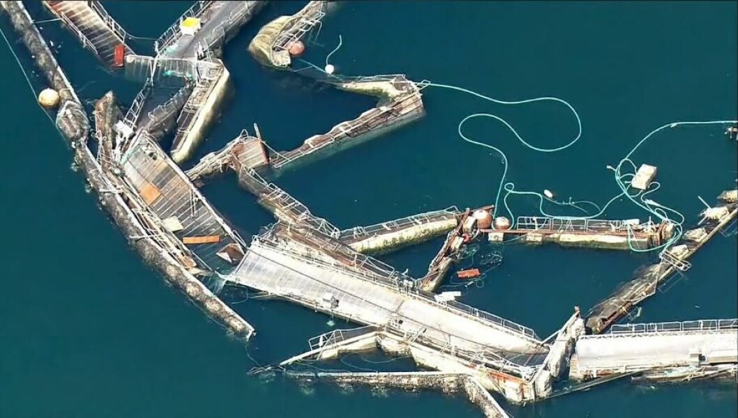 The collapse of Cooke's recently-acquired Cypress Island No.2 farm was just the start of its problems in Washington state. The collapse of Cooke's recently-acquired Cypress Island No.2 farm was just the start of its problems in Washington state.