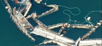 Cooke's $2.75m pay-out to end anti-salmon farm group’s legal action