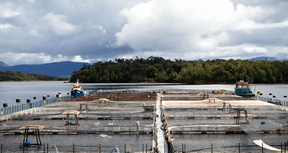 Friosur has more than 40 licences and the potential to produce 80,000 tonnes of salmon annually. Photo: Friosur