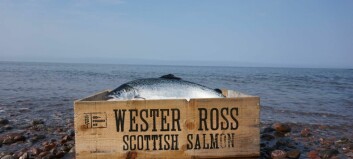 Big export increase earns Wester Ross accolade