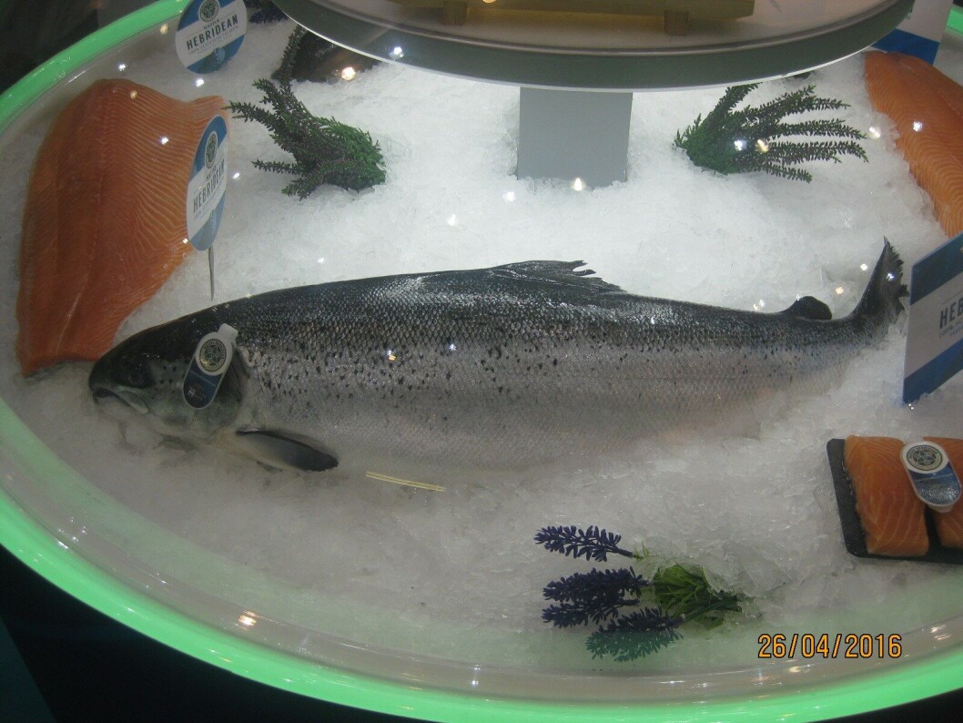 Salmon saw the largest value growth in UK food and drink exports, up 52.3 per cent in Q1 to £186.7 million. Salmon saw the largest value growth in UK food and drink exports, up 52.3 per cent in Q1 to £186.7 million.
