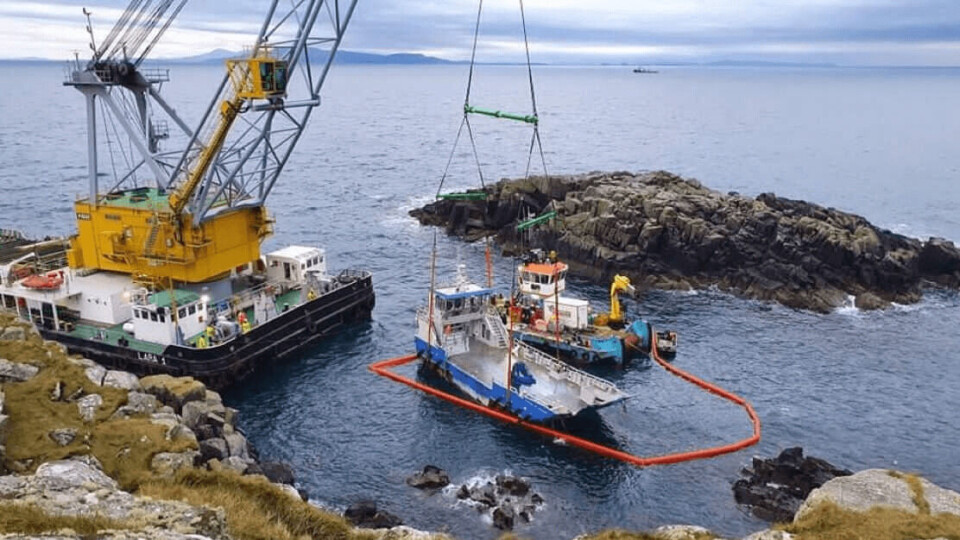 The Tiffany of Melfort, which was just two years old, being raised in the Shiant Isles, east of Harris. Photo: Kames.
