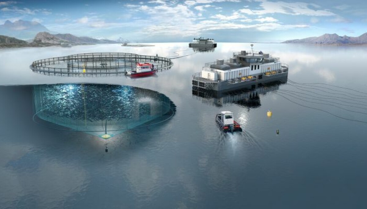 Billion Kroner Backlog billion-kroner-backlog