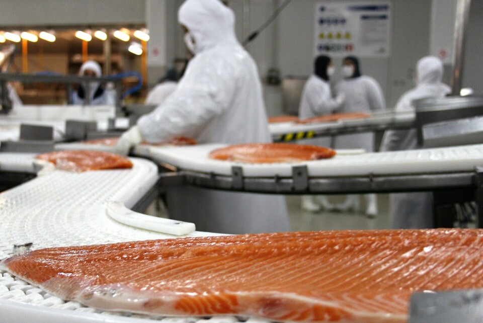 Only trout exports saw a year-on-year increase in value for May. Photo: Salmonexpert archive.