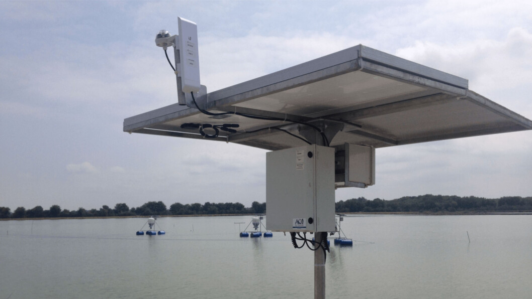 A wireless shrimp feed controller made by AQ1. Photo: AQ1. A wireless shrimp feed controller made by AQ1. Photo: AQ1.