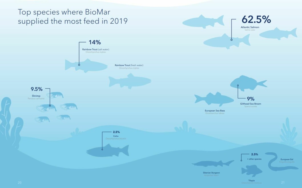 Nearly two thirds of BioMar's business was provided by the salmon industry. Graphic: BioMar.