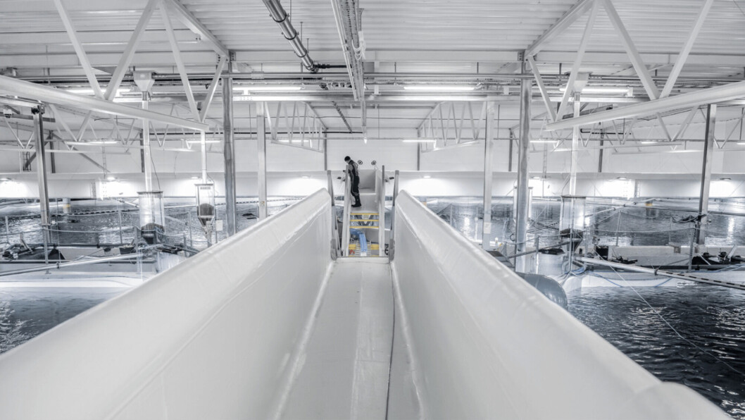An AKVA group RAS facility. The Norwegian company will supply equipment for phase 1 of Nordic Aqua Ningbo Co's plant in China. Photo: AKVA group. An AKVA group RAS facility. The Norwegian company will supply equipment for phase 1 of Nordic Aqua Ningbo Co's plant in China. Photo: AKVA group.