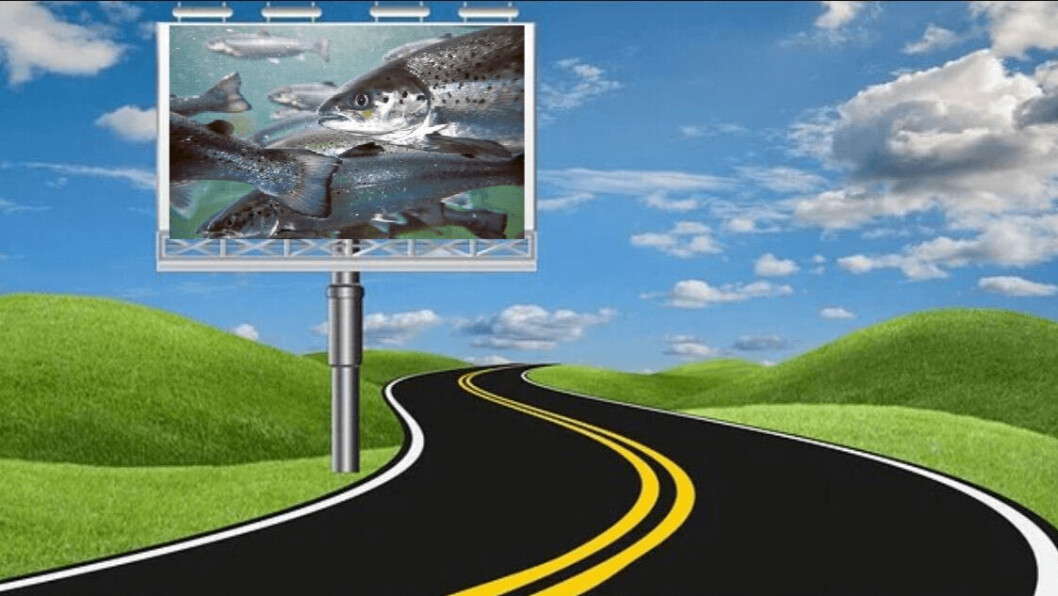 Campbell River council will back the salmon industry with billboards proclaiming its support. Illustration for FFE mock-up: Pixabay. Campbell River council will back the salmon industry with billboards proclaiming its support. Illustration for FFE mock-up: Pixabay.