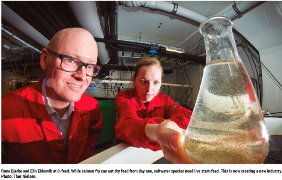 Cleaner fish feeds
