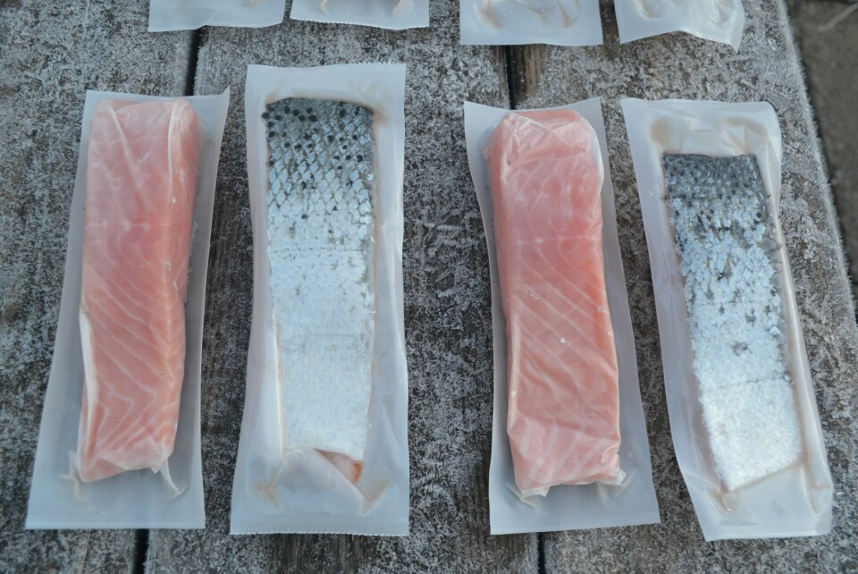 Organic Sea Harvest salmon portions in a new compostable packaging from Invergordon firm Celnor. Photo: OSH.