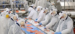 Blumar to build Atlantic salmon production