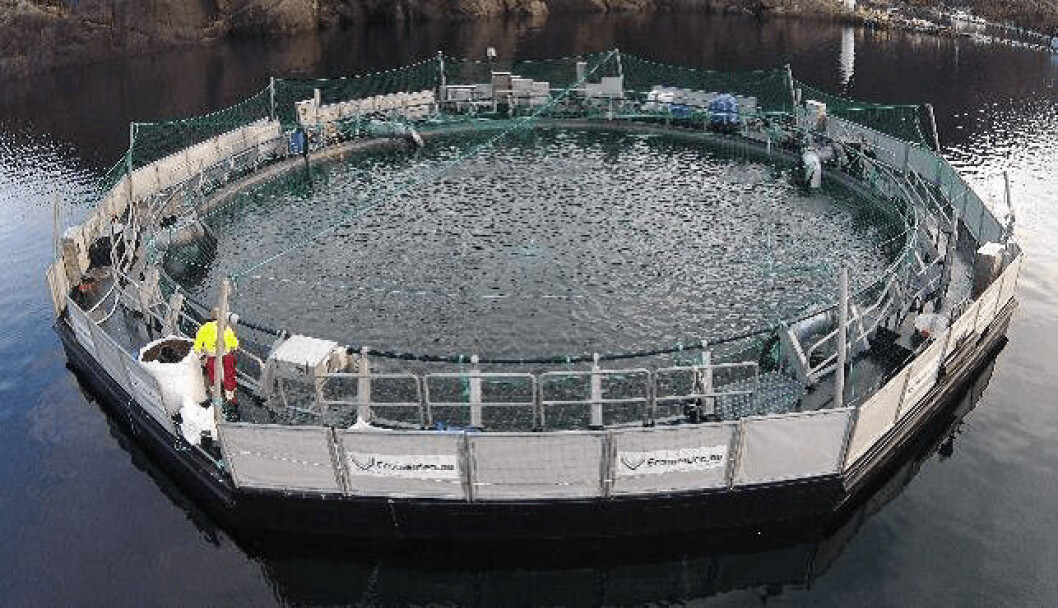 Ecomerden's floating semi-closed cage system has been bought by Eide Fjordbruk to grow post-smolts to 1kg. Photo: Ecomerden. Ecomerden's floating semi-closed cage system has been bought by Eide Fjordbruk to grow post-smolts to 1kg. Photo: Ecomerden.