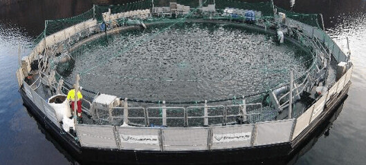 Salmon farmer buys 1m-smolt floating closed cage