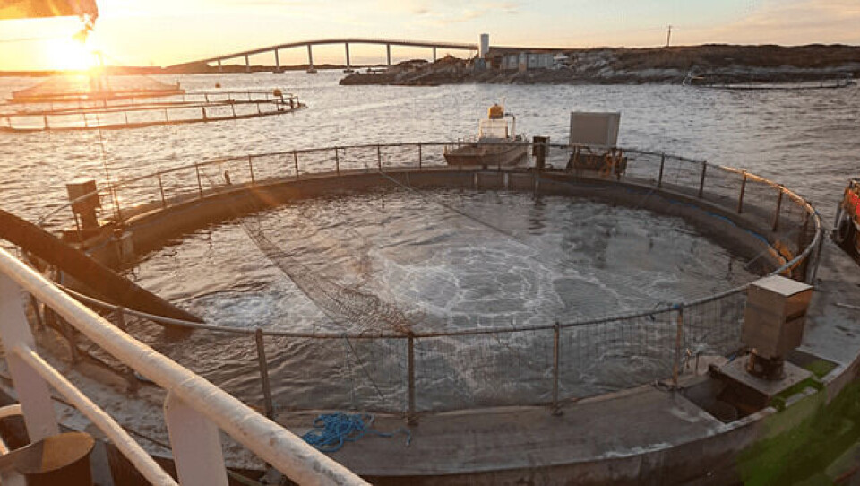 Salmon Home No1. Image: Nekton Havbruk.