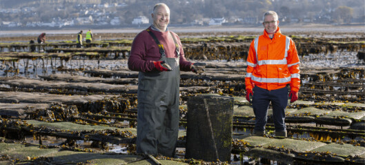 Clyde oyster farmer to double size of site