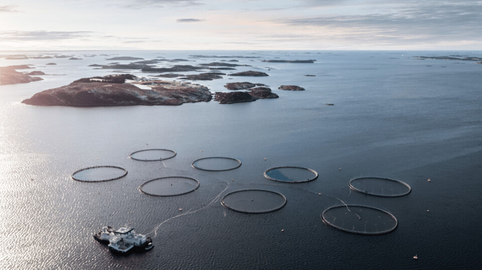 Illustrative photo of a Norcod's site in Norway. The escape occurred at a different site, Labutkta, off the island of Nesna.