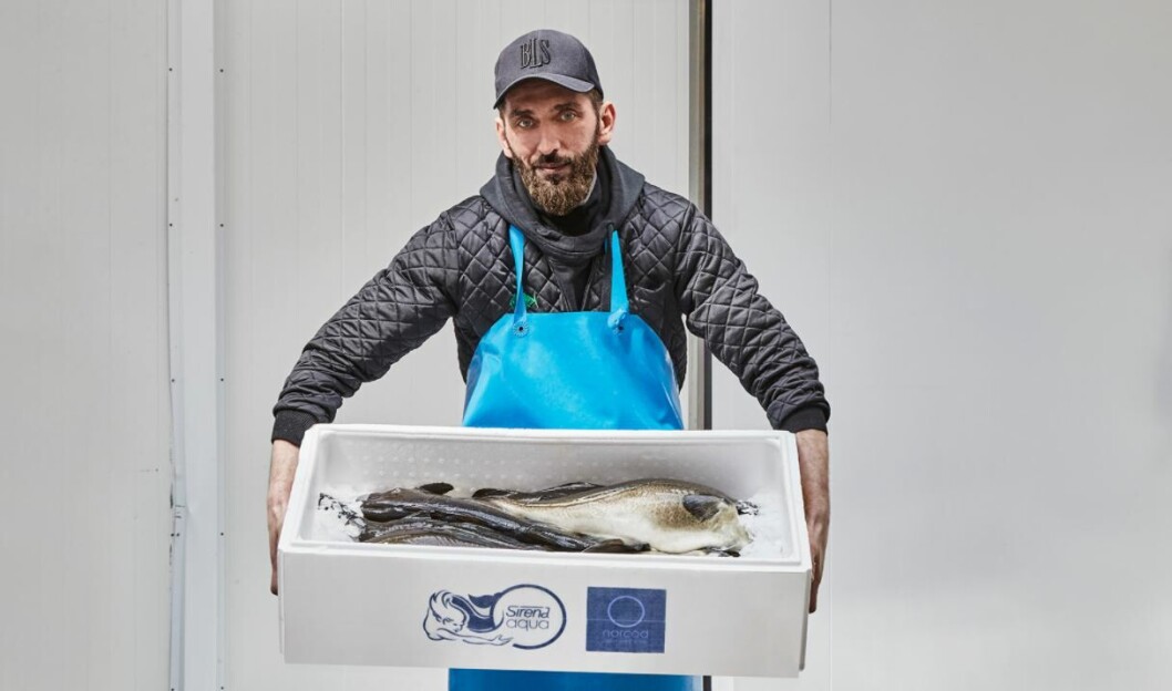 Norcod had a test harvest in December and will carry out its first commercial harvest in the current quarter. Photo: Norcod. Norcod had a test harvest in December and will carry out its first commercial harvest in the current quarter. Photo: Norcod.