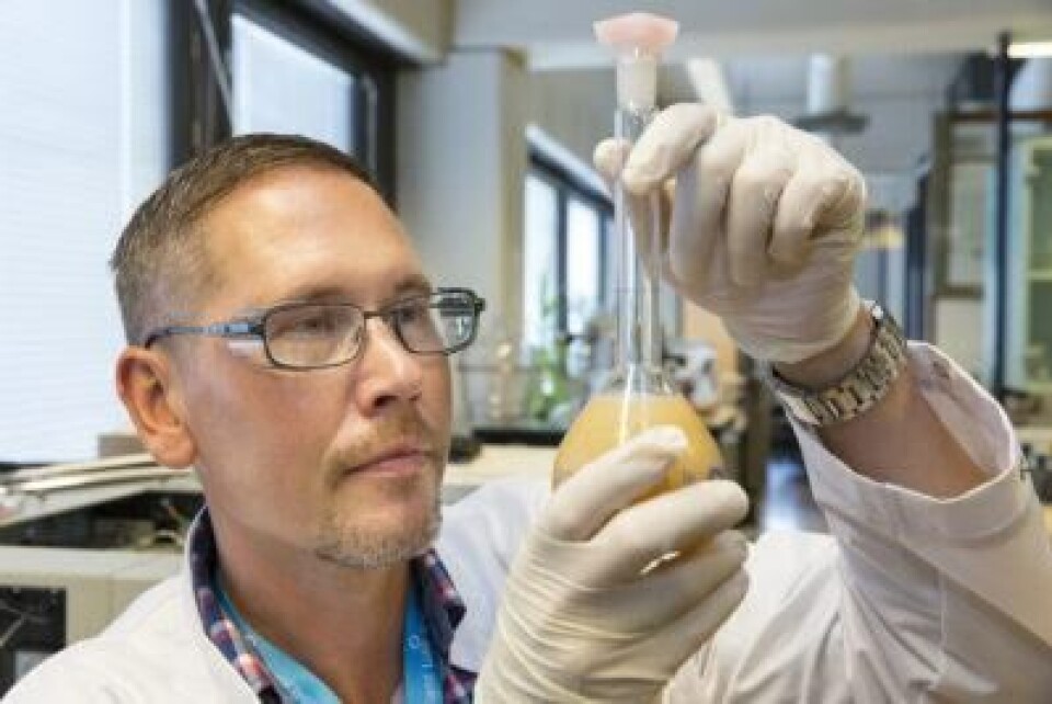 Finnish scientist Risto Korpinen is leading a project to make fish feed from sawdust. Photo: Erkki Oksanen/Luke