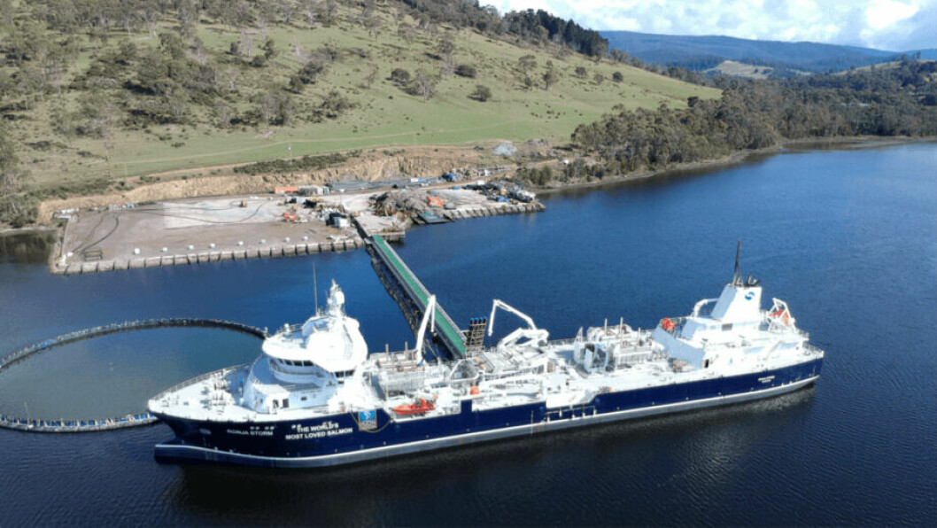 The world's biggest wellboat, the Ronja Storm, which is on a 10-year contract with Huon, moored at the company's Whale Point nursery. The company has invested heavily in improving biology and capacity. Photo: Huon.