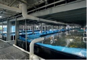 A pond at Apollo Aquaculture Group’s three-storey Floating Ponds farm. Photograph: Surbana Jurong A pond at Apollo Aquaculture Group’s three-storey Floating Ponds farm. Photograph: Surbana Jurong
