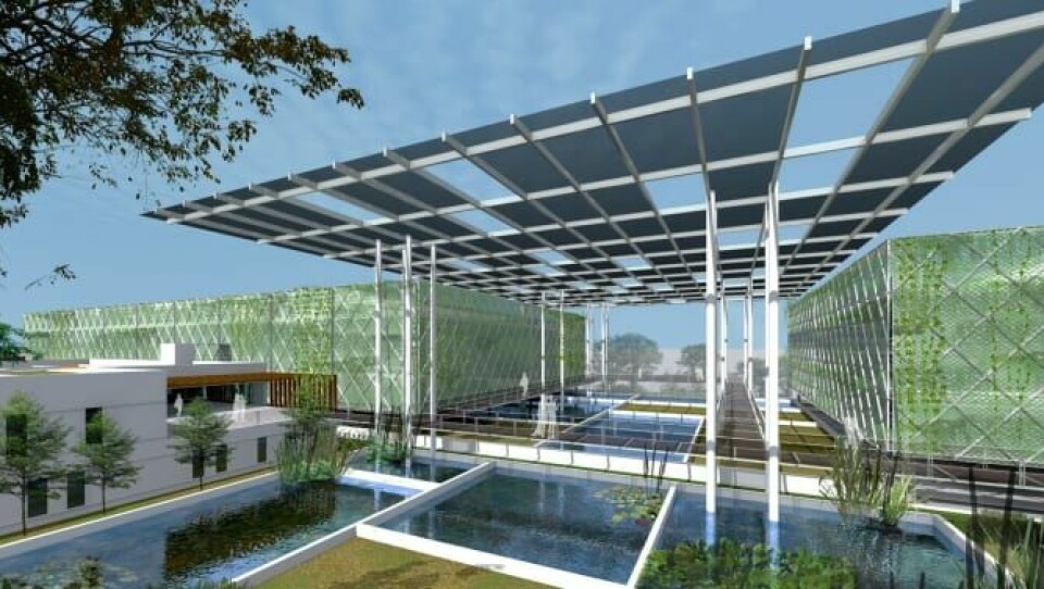 A computer generated image of the Floating Ponds vertical fish farm conceptualised by Surbana Jurong and Apollo Aquaculture Group. Their model of urban aquaculture has reported yields six times higher than traditional farming, using the same land area. Image: Surbana Jurong