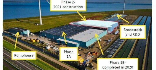Kingfish Company secures €75m loan package