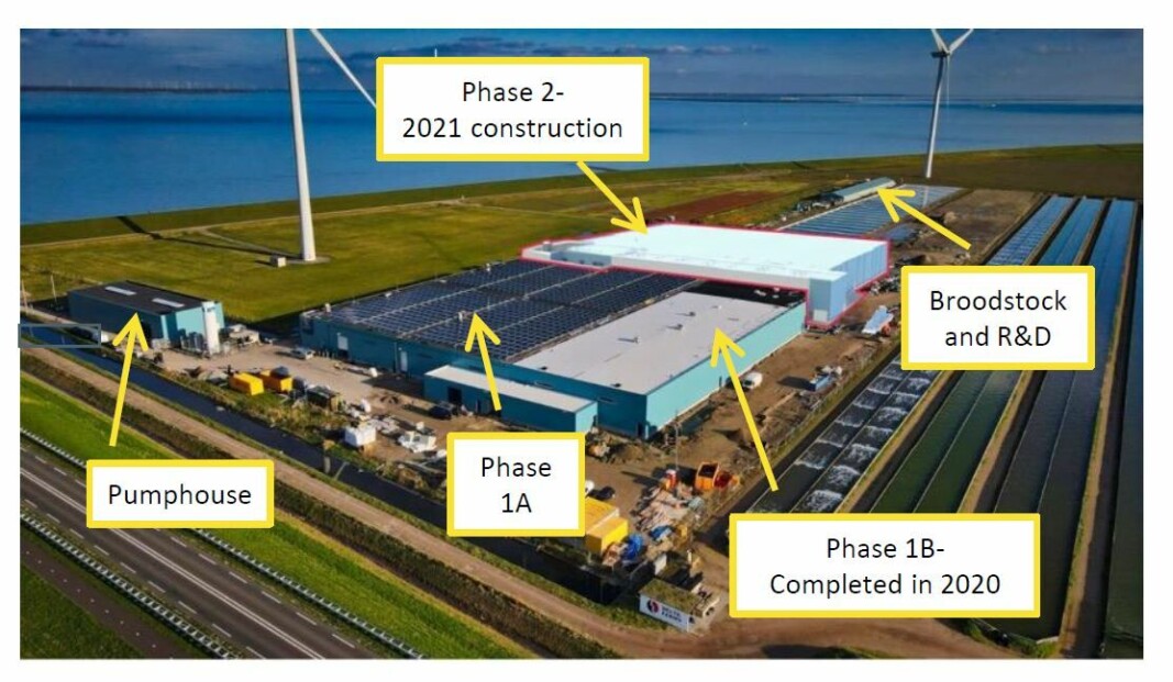 An early illustration of The Kingfish Company's recirculating aquaculture system facility in Zeeland showing projected timescales for the expansion. Work has been carried out of Phase 2 but it not yet complete. An early illustration of The Kingfish Company's recirculating aquaculture system facility in Zeeland showing projected timescales for the expansion. Work has been carried out of Phase 2 but it not yet complete.