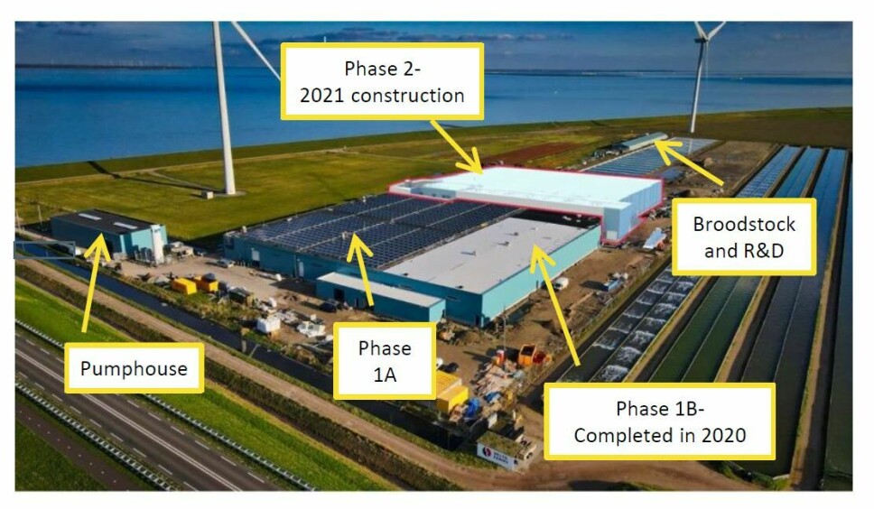 An early illustration of The Kingfish Company's recirculating aquaculture system facility in Zeeland showing projected timescales for the expansion. Work has been carried out of Phase 2 but it not yet complete.