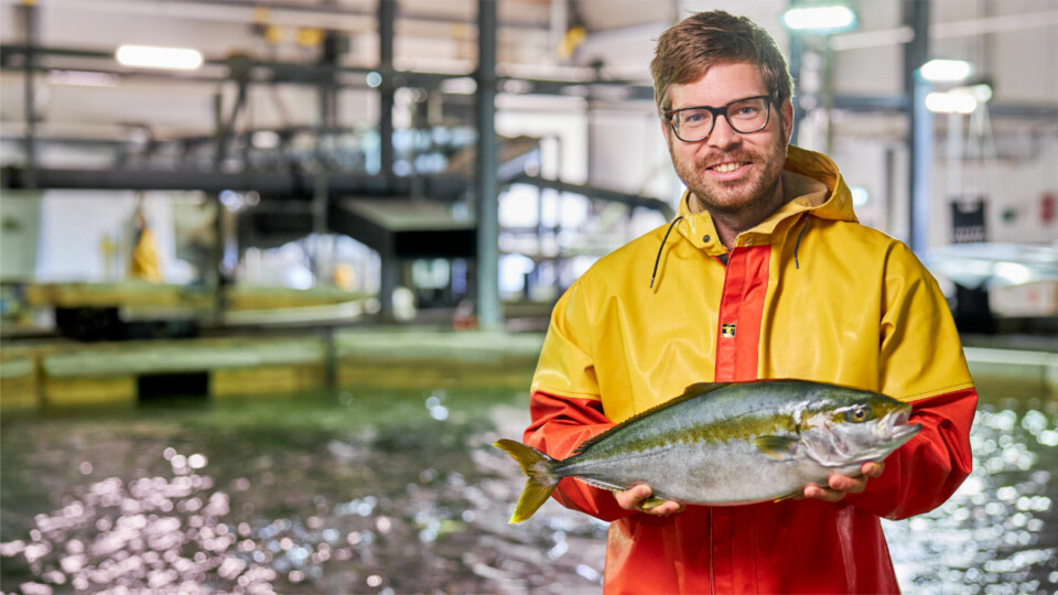 Kingfish Company production manager Braam Rohaan with one of the company's fish. Photo: Mees van den Ekart / Kingfish Zeeland.