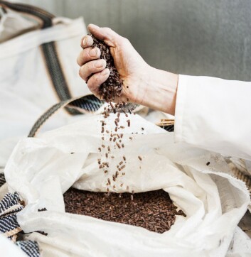 Calysta’s FeedKind protein is a family of sustainable, traceable, nutritional ingredients for aquaculture, livestock and pets. Calysta’s FeedKind protein is a family of sustainable, traceable, nutritional ingredients for aquaculture, livestock and pets.
