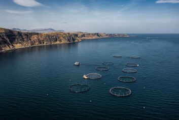 OSH's Invertote and Culnacnoc salmon farms off the northeast coast of Skye. Photo: OSH. OSH's Invertote and Culnacnoc salmon farms off the northeast coast of Skye. Photo: OSH.
