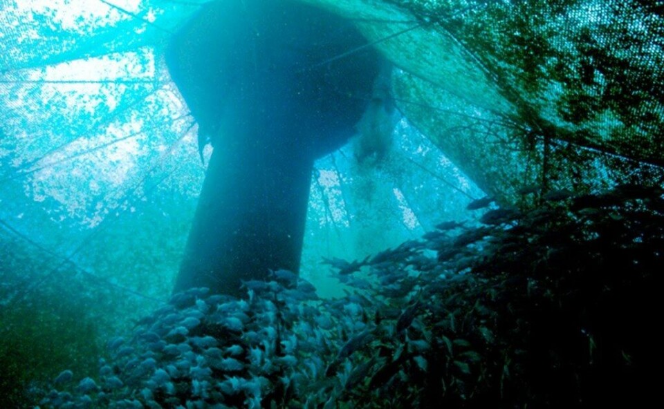 Submersible cages in Hawai'i, one of the few places in the US where offshore aquaculture takes place.