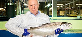 Can Pure Salmon change the game for RAS grow-out?