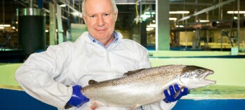 Can Pure Salmon change the game for RAS grow-out?
