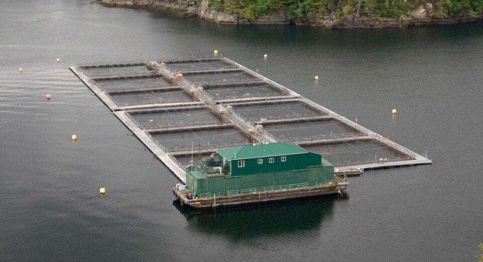 The Canadian Aquaculture Industry Alliance has been given CAD 2.48m to market its products. Photo: CAIA