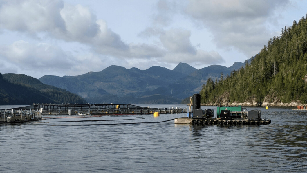An open-net pen salmon farm in BC. Canada's ruling Liberal Party is pressing ahead with a 2019 manifesto pledge to transition salmon farming into closed containment.