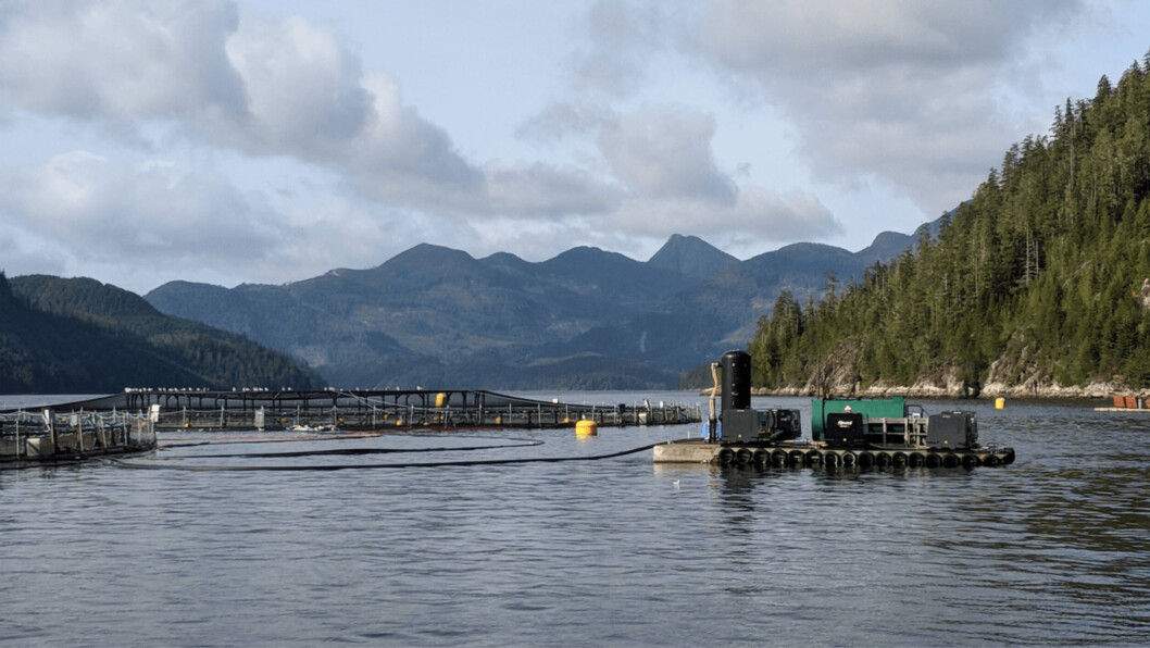 Greig’s Atrevida salmon farm located in the waters of Nootka Sound east of Campbell River. Photo: Iayisha Khan / FFE. Greig’s Atrevida salmon farm located in the waters of Nootka Sound east of Campbell River. Photo: Iayisha Khan / FFE.