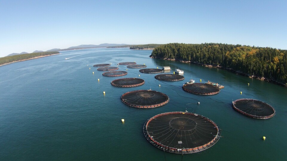 A Cooke Aquaculture US site in Maine.