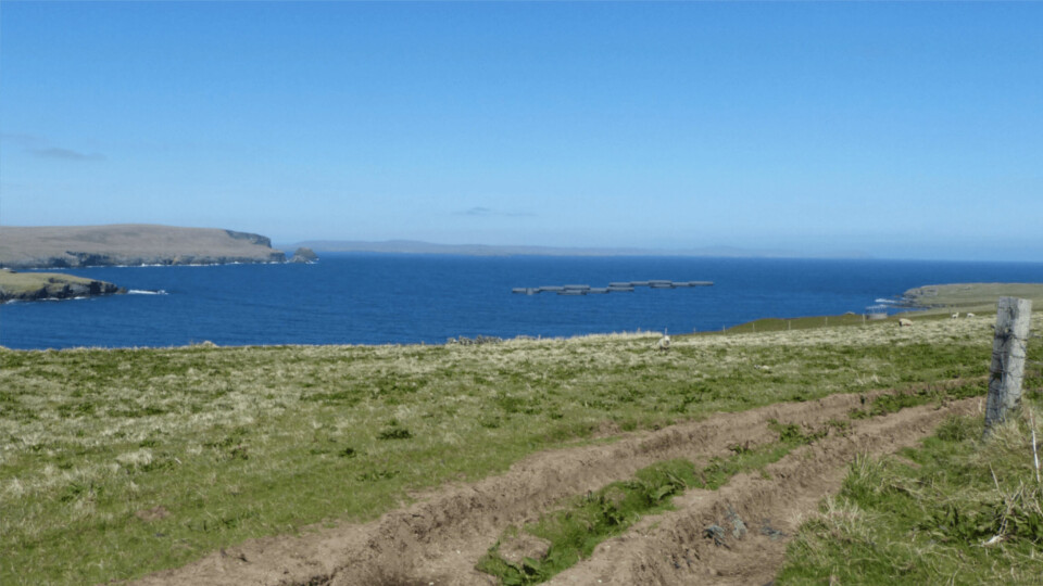 How photomontage of how Cooke's farm would look would look from Fetlar, Shetland. Photo: Planning application documents.