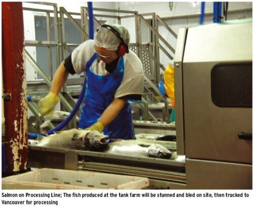 Canada: Aboriginally-owned tank farm to be stocked with Atlantic salmon