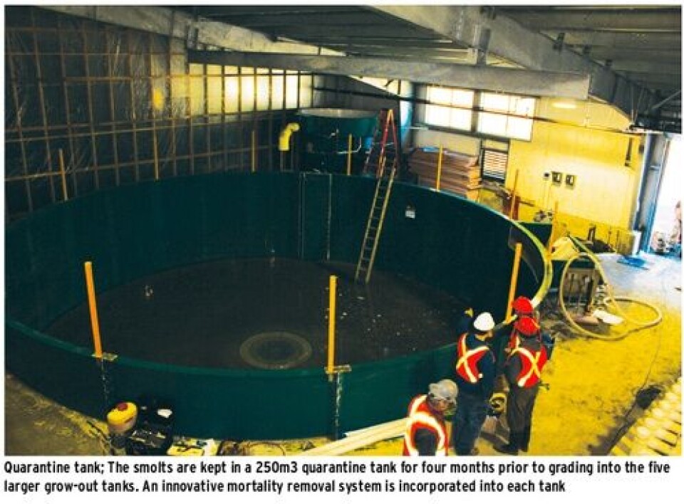 Canada: Aboriginally-owned tank farm to be stocked with Atlantic salmon