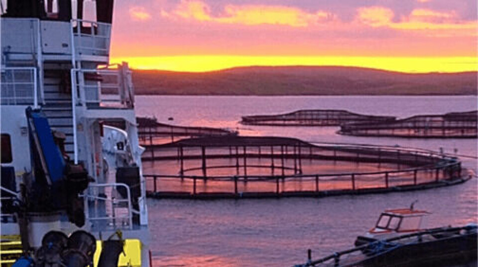 A salmon farm in Scotland. Improving farmed fish health and welfare and unlocking sustainable growth in the sector are two areas of research being supported by SAIC's R&D Funding Boost.