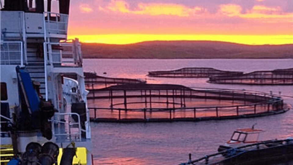 A Cooke Scotland salmon farm. The company has increased its workforce by around 10% over the Covid period. Photo: Cooke.