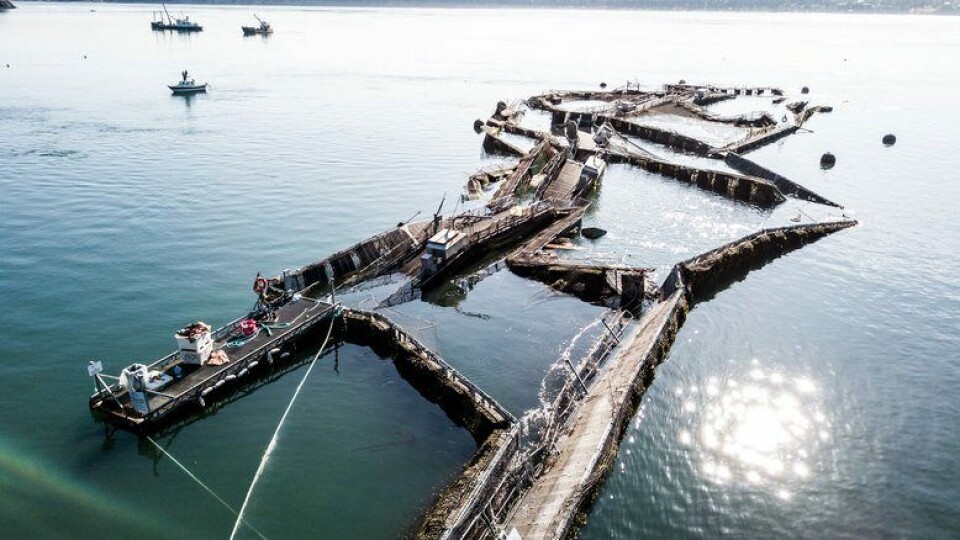Cooke Aquaculture's farm was severely damaged last weekend. Photo: Seattle Times