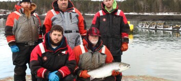 Cooke salmon gains presidential approval