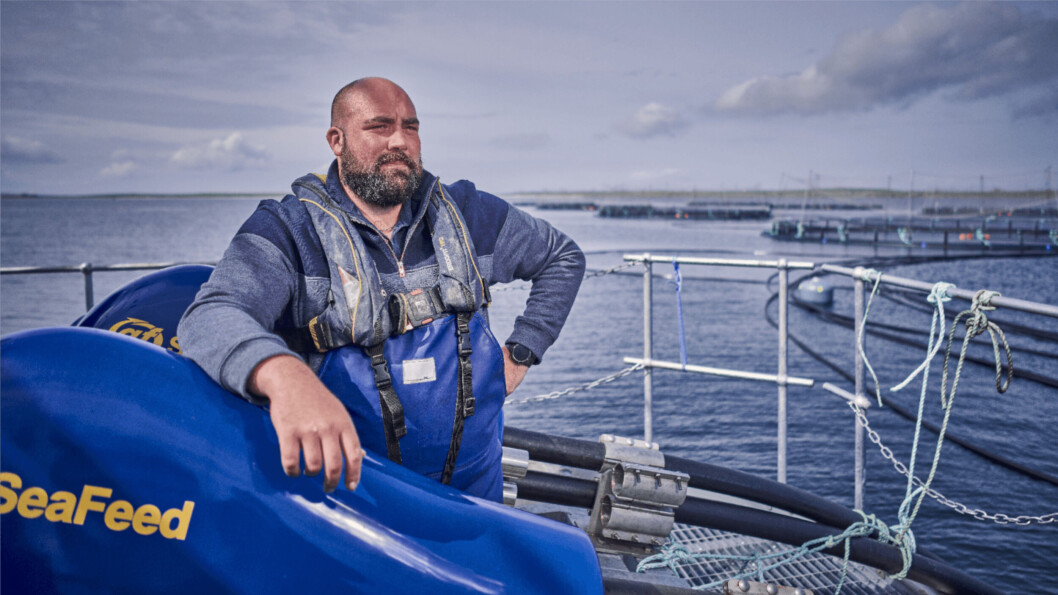 Norman Peace at Cooke Scotland's newest organic seawater site, Bay of Holland, Stronsay, Orkney. Photo: Cooke Aquaculture Scotland. Norman Peace at Cooke Scotland's newest organic seawater site, Bay of Holland, Stronsay, Orkney. Photo: Cooke Aquaculture Scotland.