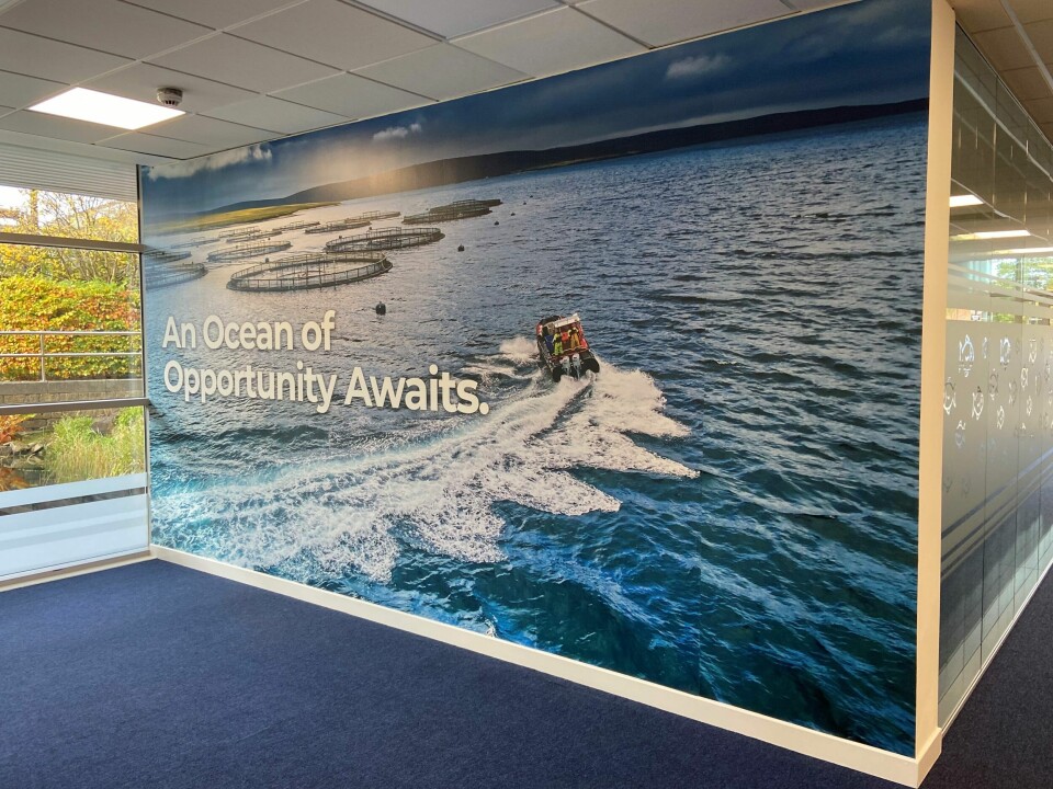 A large photo of a Cooke site on one of the office walls. Photo: Cooke.
