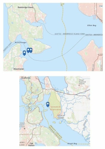 Cooke has been given modified permits for four sites - three in Rich Passage and one in Skagit Bay. Click on image to enlarge. Maps: Department of Ecology.