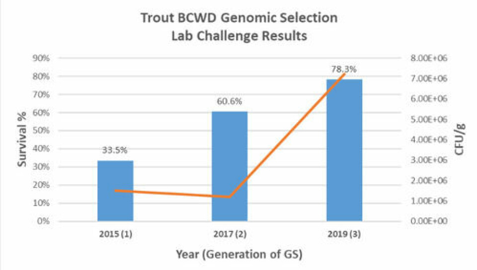 Results of BCWD laboratory challenges conducted by the USDA on Troutlodge’s May strain. The graphic shows generational improvements in survival from 2015 to 2019 as a result of genomic selection. Click on image to enlarge. Graphic: Hendrix Genetics.